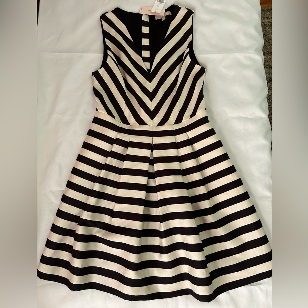 NWT size 6 petite Banana Republic dress